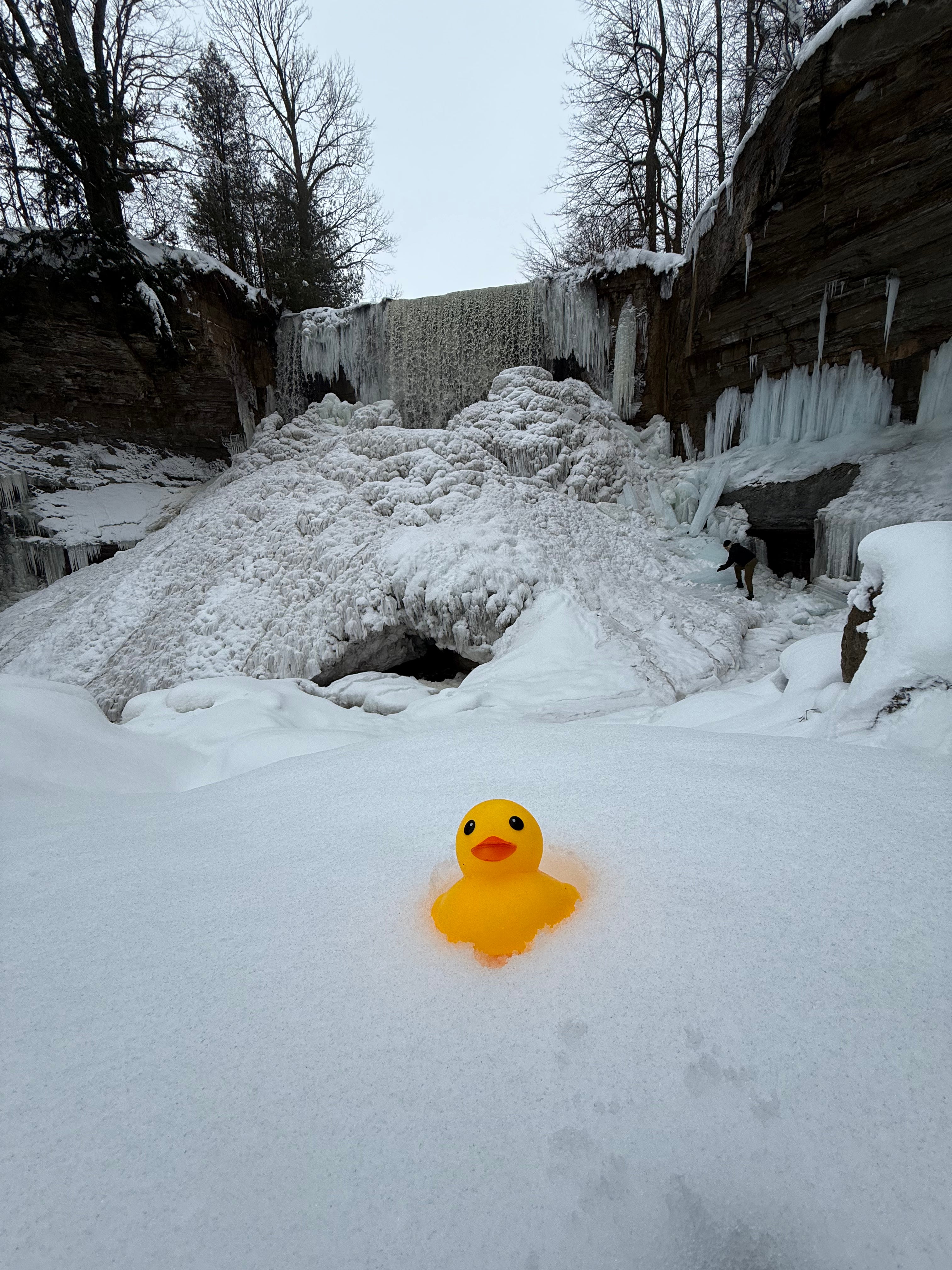 Yellow rubber duck in the snow with a frozen waterfall in the background