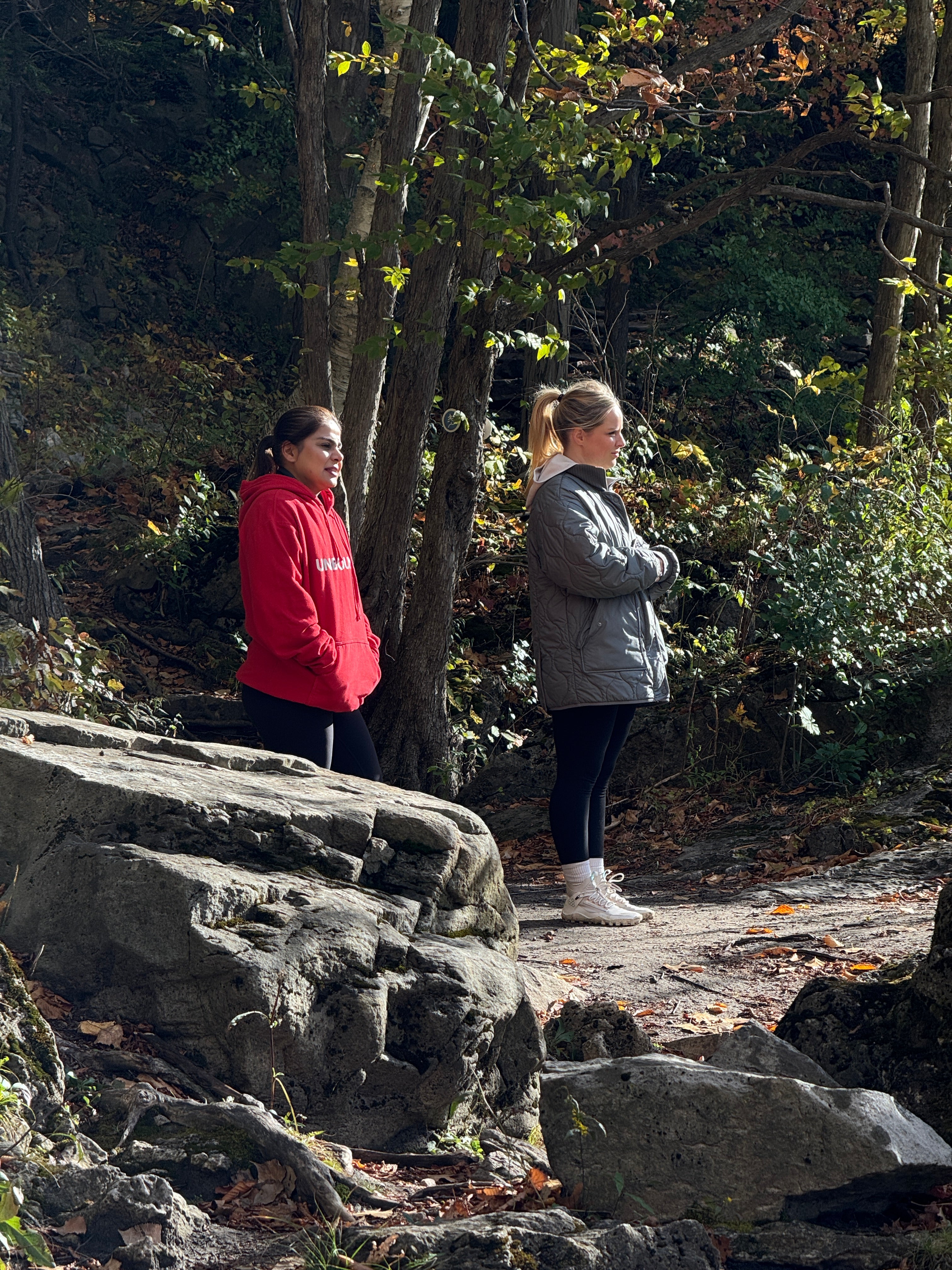 Two people standing on a rocky outcrop with trees and foliage in the background