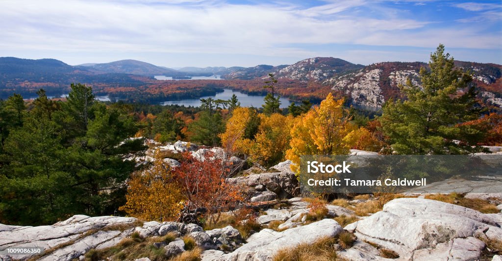 Crack Killarney Park • October 17