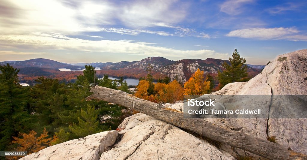 Crack Killarney Park • October 17