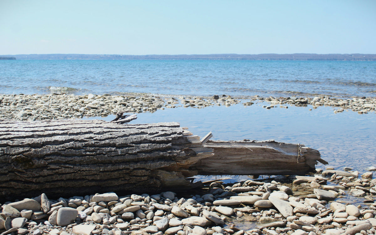 Tobermory Rip: Cold Plunge Edition – Nov 28