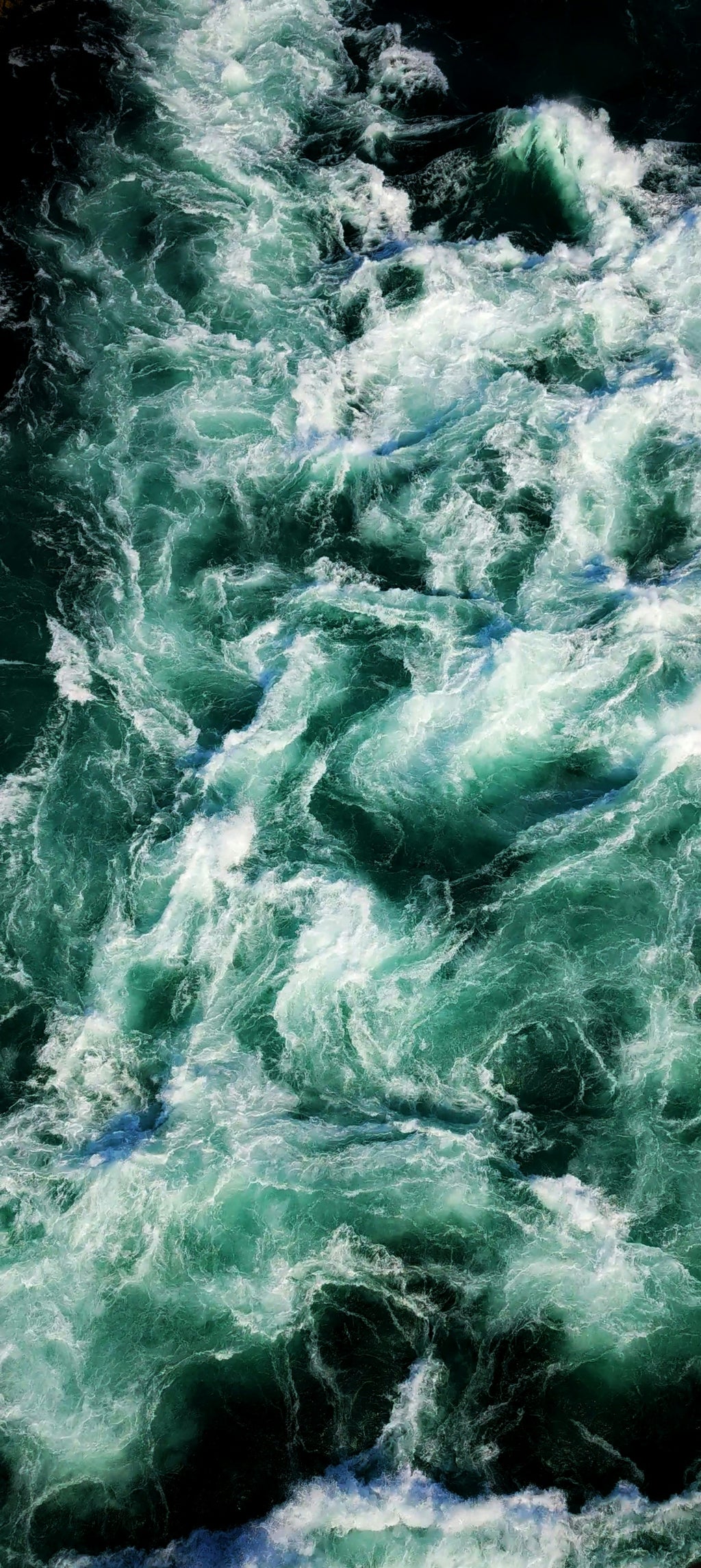 Niagara Whirlpool Trail • May 9