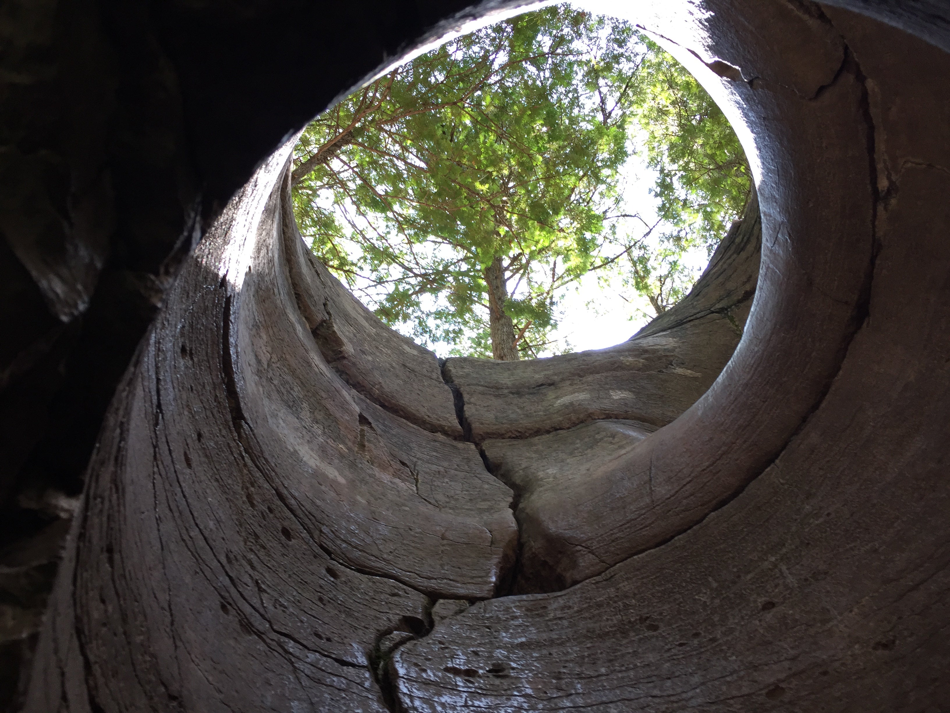 Warsaw Caves Adventure • June 14